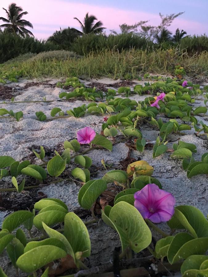 Lunarena Barefoot Hotel El Cuyo Luaran gambar